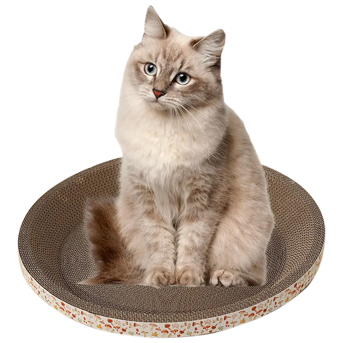 5ee1481f0e1b25f6a3cfa420561bee60 5ee1481f0e1b25f6a3cfa420561bee60